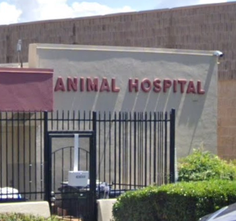 Animal Hospital in Fairfield